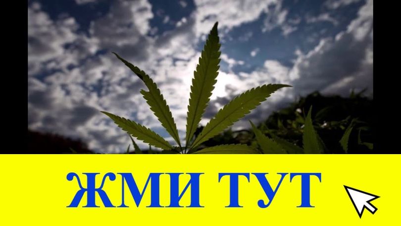 Купить наркотики в Донецке